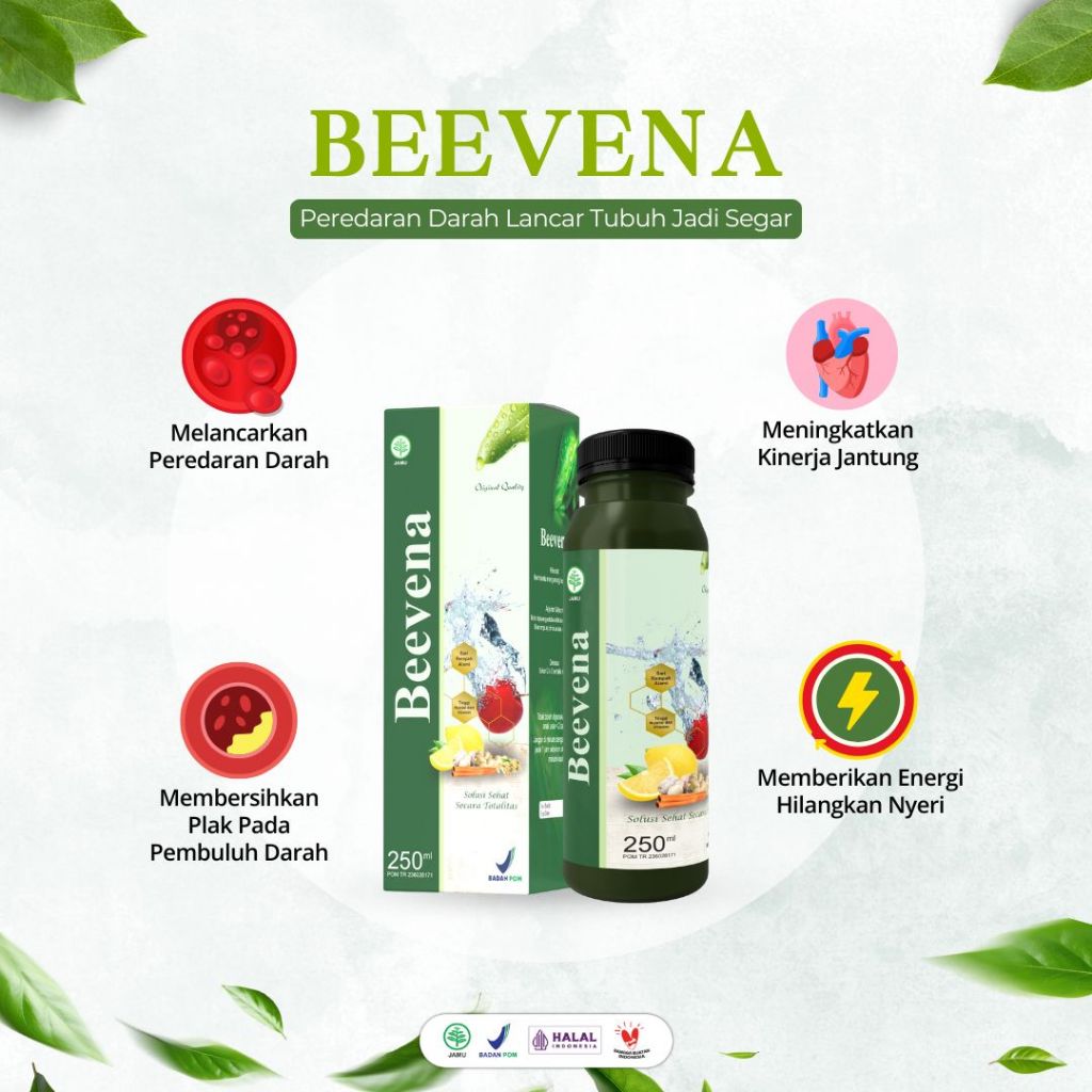

Beevena Obat Herbal Jantung Asam Urat Kolesterol Hipertensi
