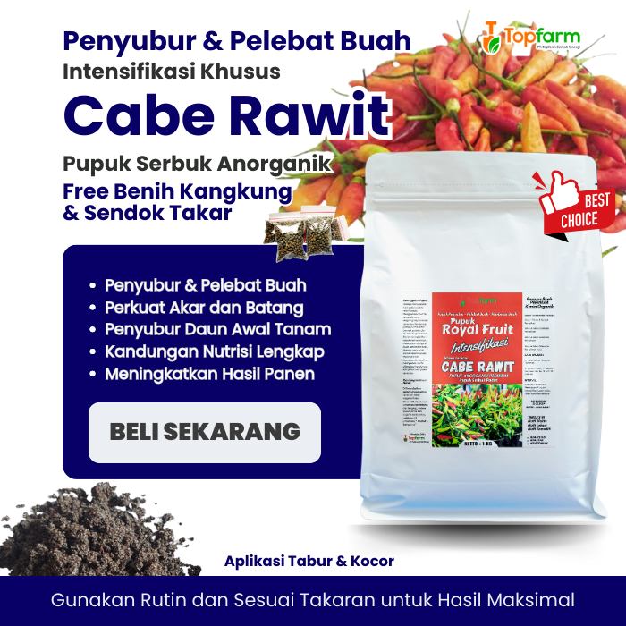 Pupuk Cabe Rawit Terbaik / Pupuk Pelebat Buah Cabe Rawit / Pupuk Cabe Rawit Agar Berbuah Lebat