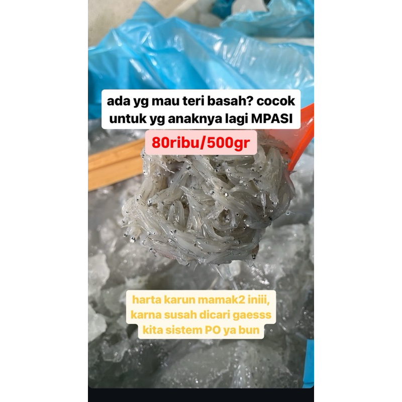 

Ikan Teri Basah MPASI