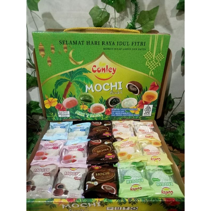 

MOCHI Conley / Terpopuler / Termurah