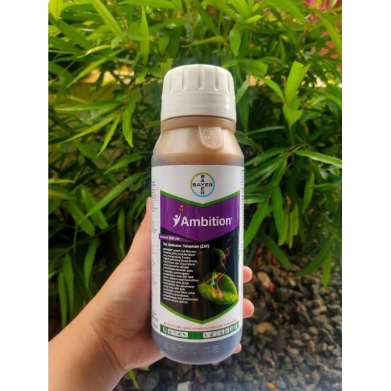 AMBITION 500ml Zat Aktifator Bayer
