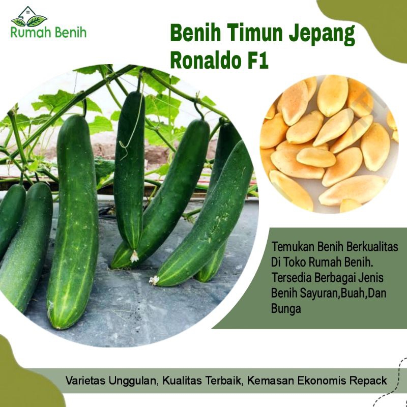 Benih Timun Jepang Ronaldo F1 / Bibit Benih Timun Jepang / Biji Benih Timun Jepang Ronaldo / Benih S
