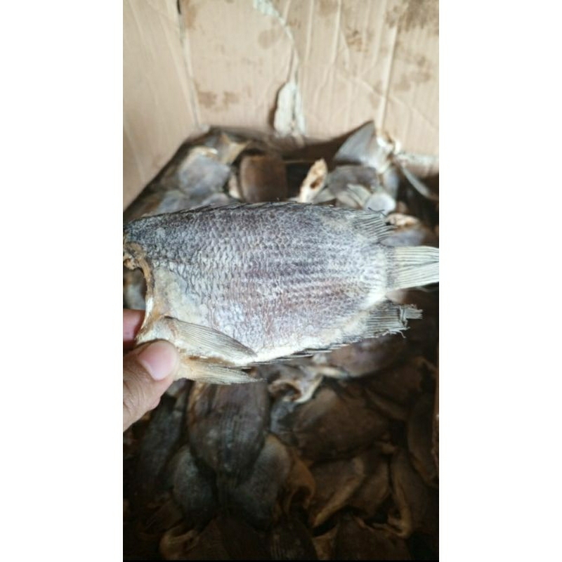 

Ikan Asin Tembalang (1ons)