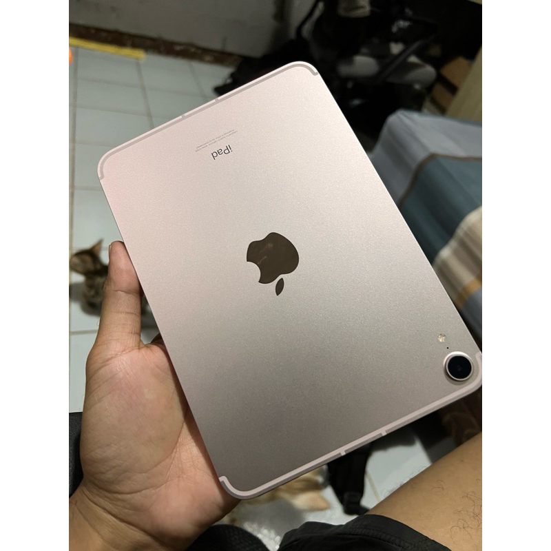 Ipad mini 6 wifi cell 256 gb ibox