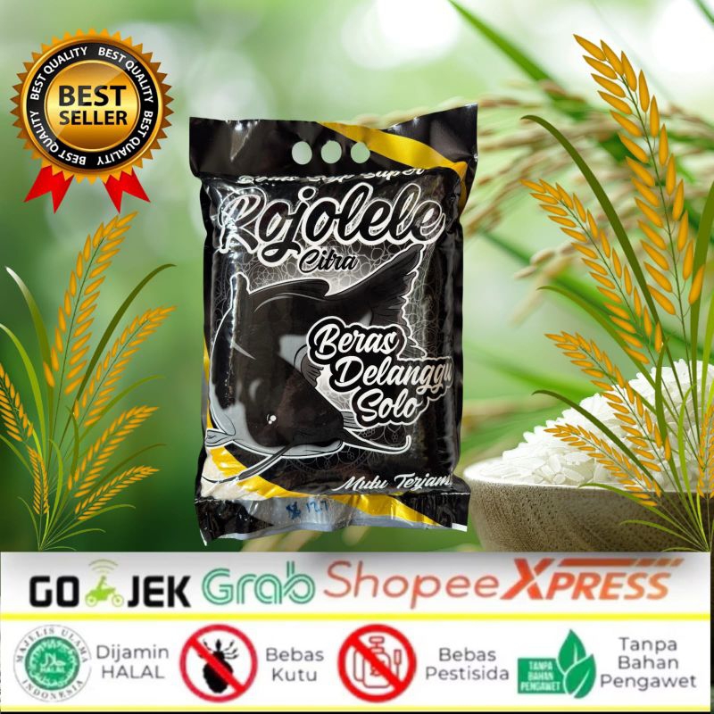

Beras Cap Rojolele Delanggu Super Solo Premium 5 Kg