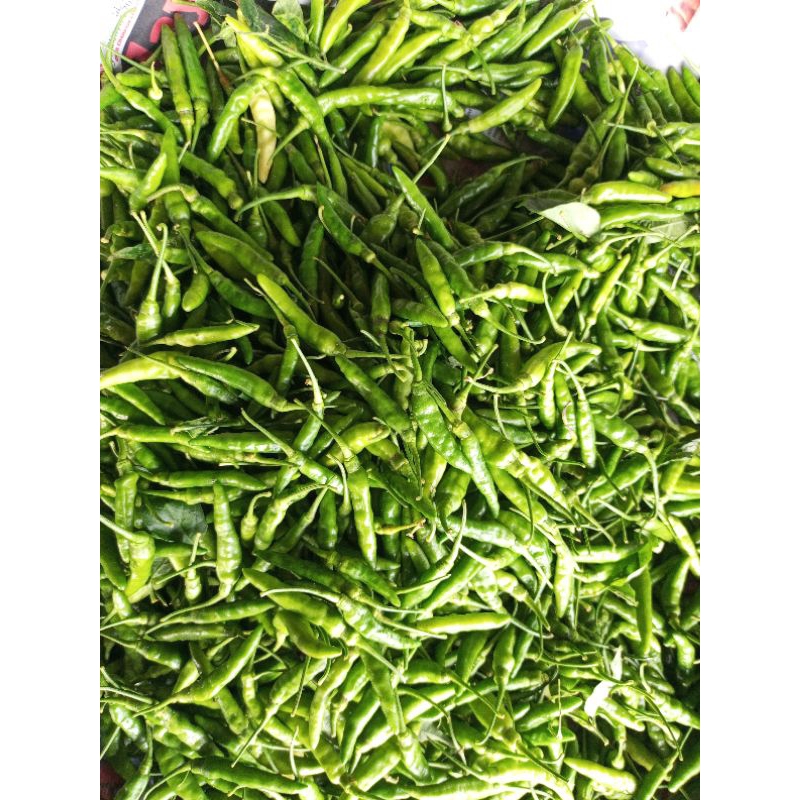 

cabe rawit pedas 1/4 =15rb an