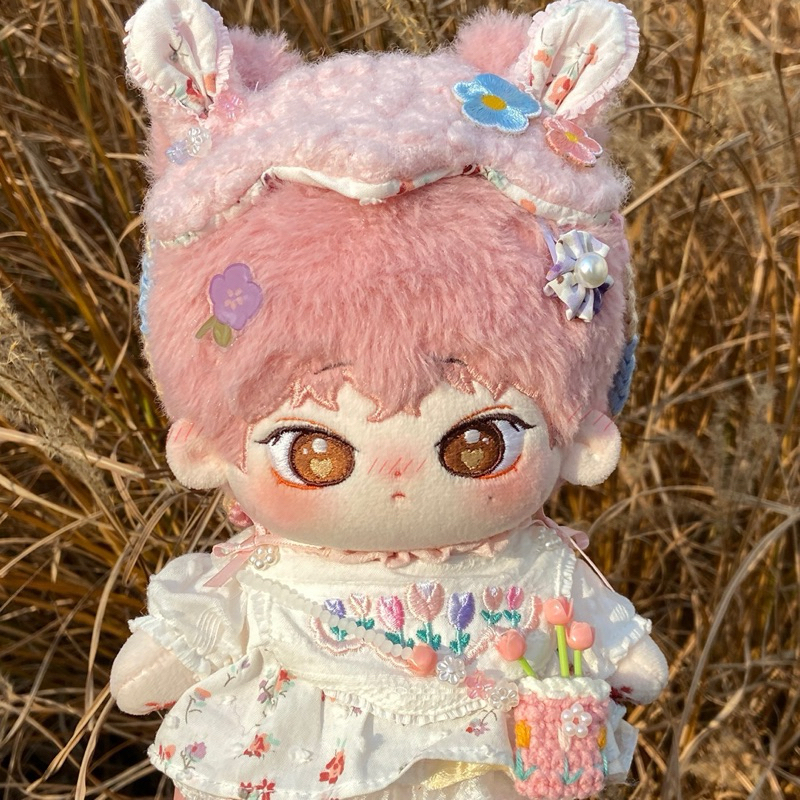 preloved doll 20cm sunoo ddeonu doll china enhypen