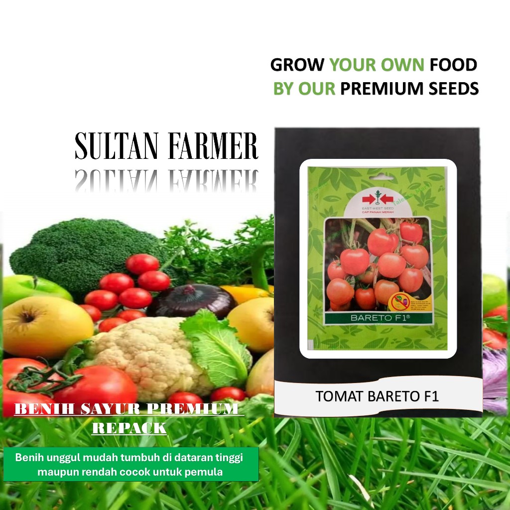 30 Biji - Benih tomat buah BARETO F1 - Tomat jumbo buah