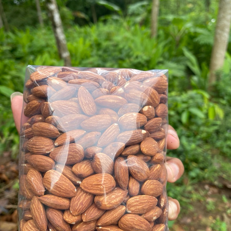 

kacang almond panggang roasted almond rasa original