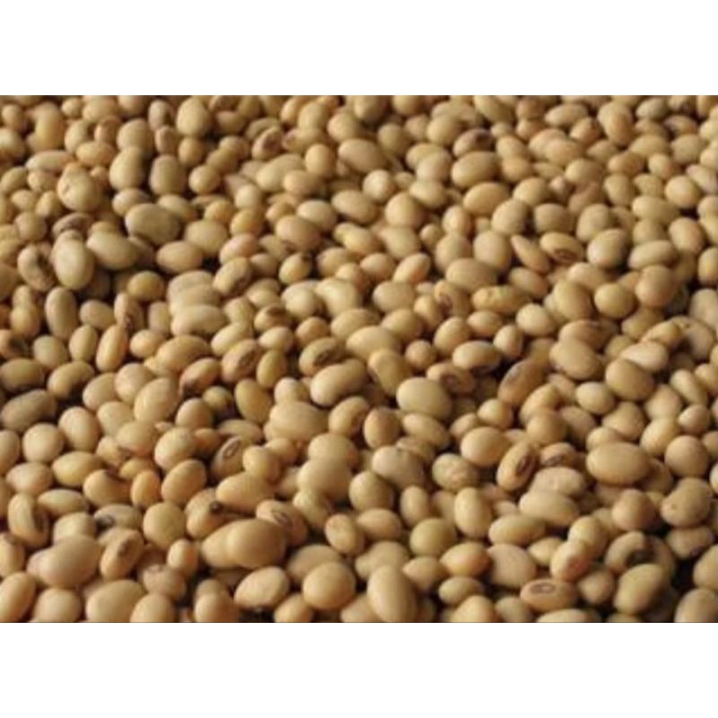 

kacang kedelai impor