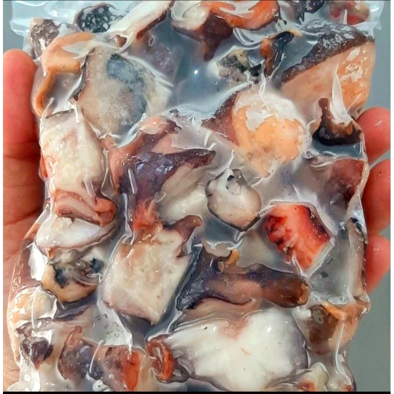 

GURITA POTONG MATANG TERMURAH (NATURAL MIX DOMINAN KEPALA LEHER BADAN) KEMASAN 500GRM