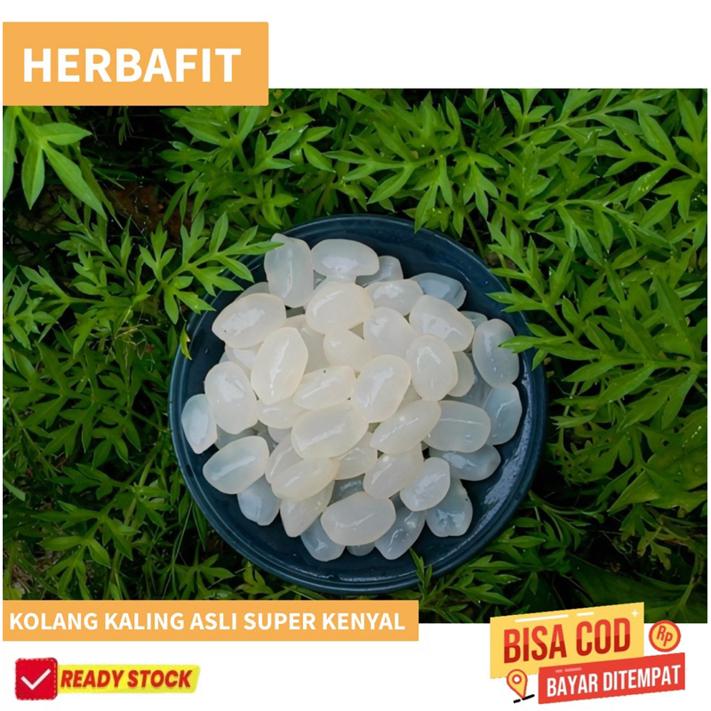 

biji kolang kaling asli muda super kenyal 2kg fres