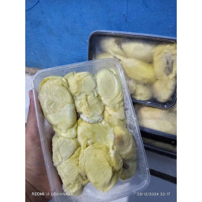 

durian Durian nias Padang Sumatera