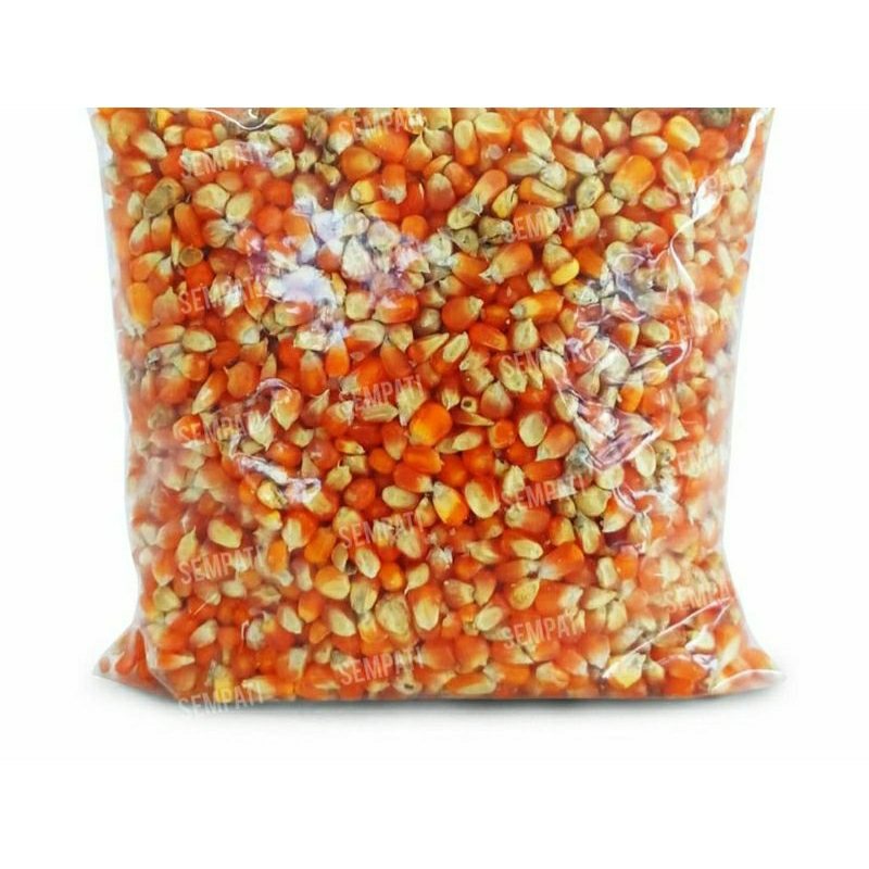 

JAGUNG BESAR KERING PIPIL JAGUNG PAKAN HEWAN TERNAK 5 KG