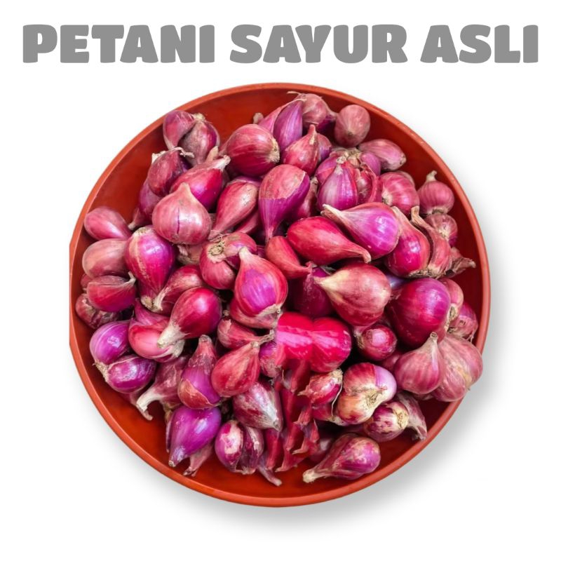 

Bawang merah premium 1 kg/ bawang merah besar / bawang merah kering