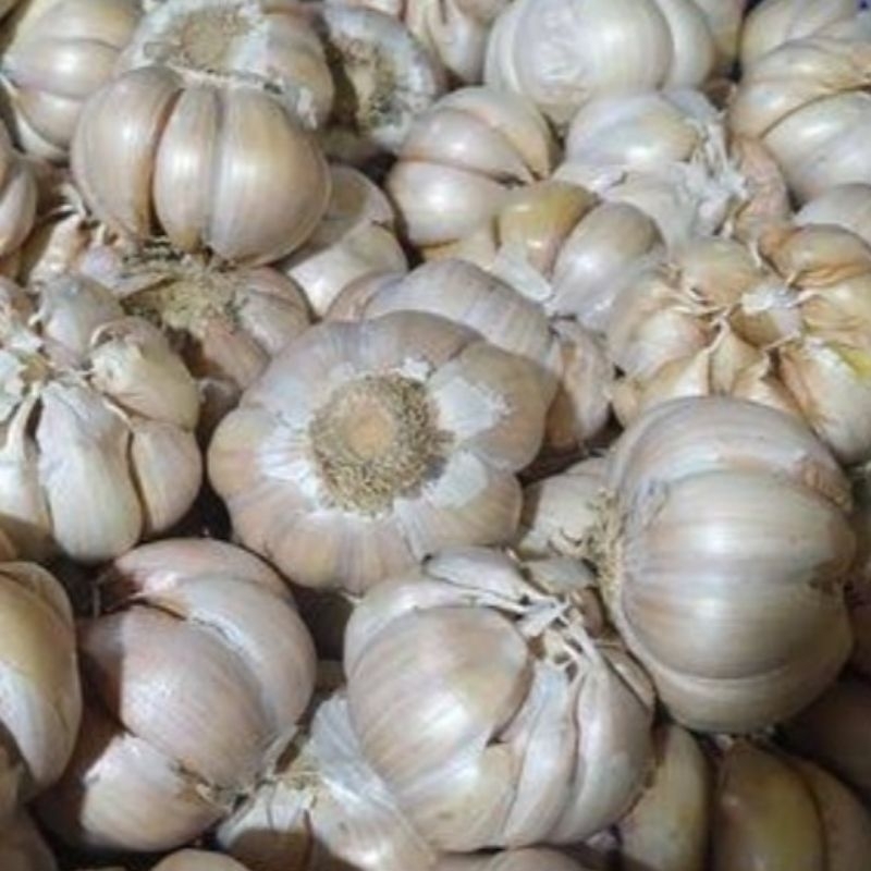 

Bawang Putih 1 Kg Bumbu Dapur Stok Masak Harian - LADANG BERTUMBUH