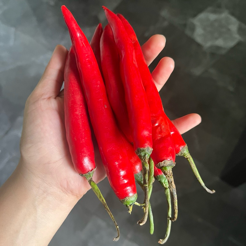 

Cabe Merah segar
