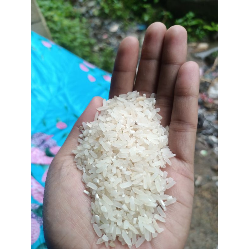 

Beras Lokal Ciparasi Sobang Banten 1Kg