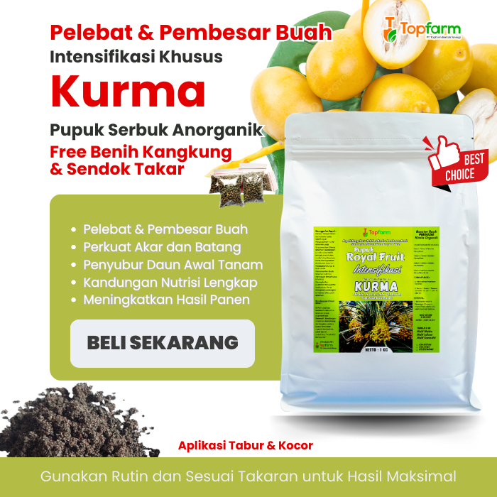 Pupuk Tanaman Kurma Berbuah Lebat / Pupuk Buah Kurma Terbaik / Pupuk Tanaman Buah Kurma Terbaik