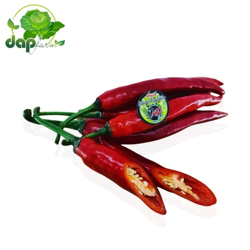 

Cabai Merah Besar/Cabe merah/ DAP Farm Jakarta