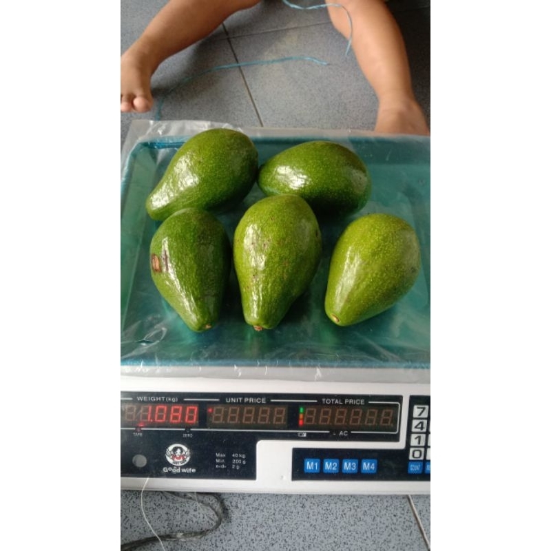 

Alpukat buah