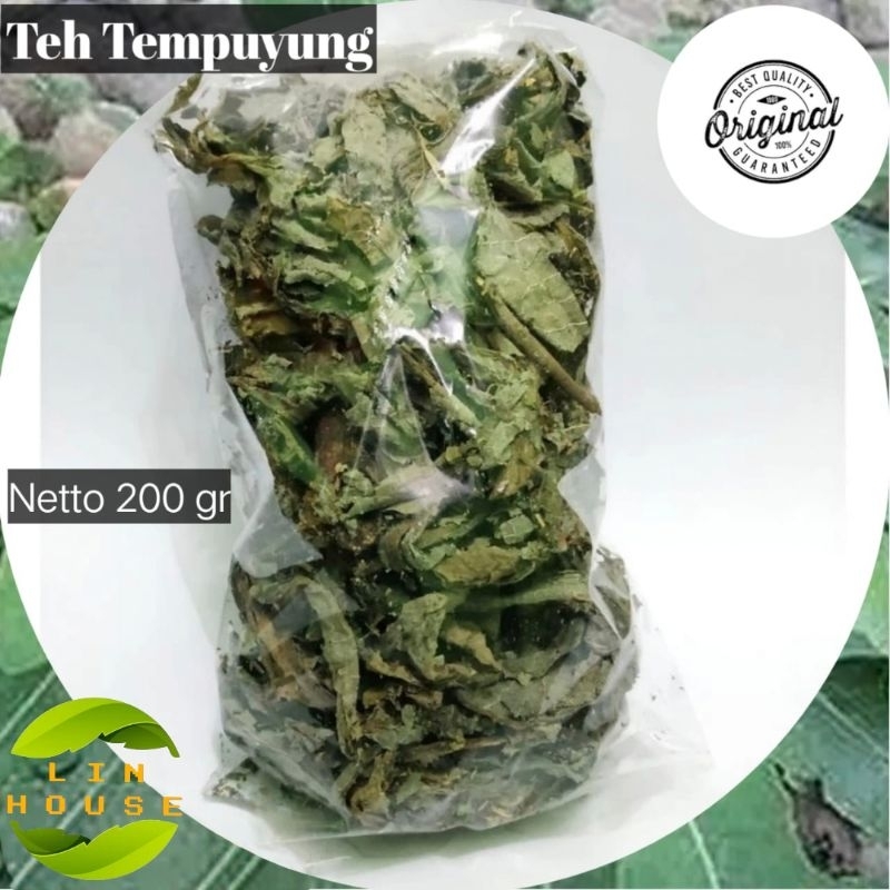 

Daun Tempuyung Kering/Tempuyung Herbs/Teh Daun Tempuyung Original 200 Gr