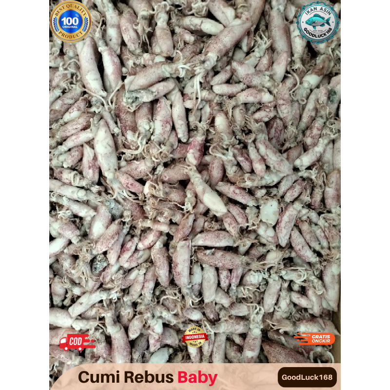 

Ikan Asin Cumi Rebus Baby Super | Cumi Baby | Baby Cumi | Cumi Bayi