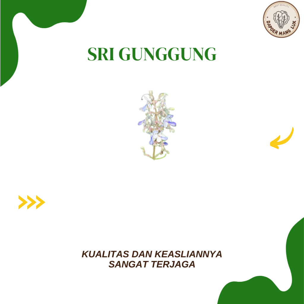 

DRIED SERBUK SRIGUNGGUNG BEST SELLER