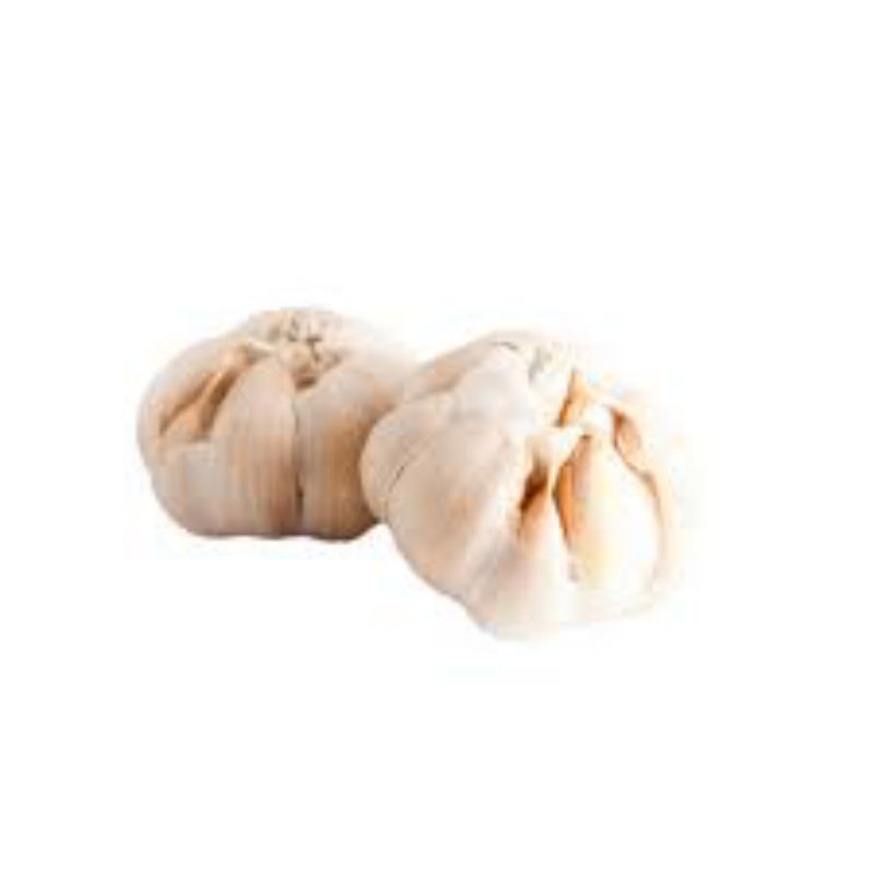 

BAWANG PUTIH KUALITAS SUPER