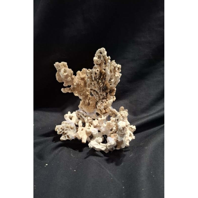 batu karang laut asli custom