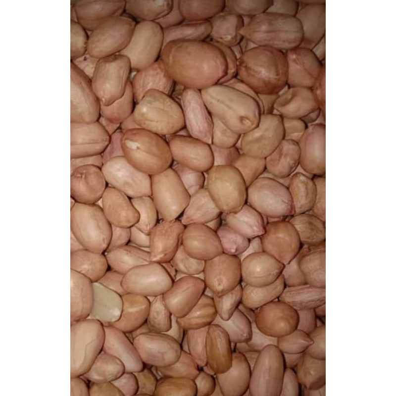 

kacang tanah Tuban 1 kg