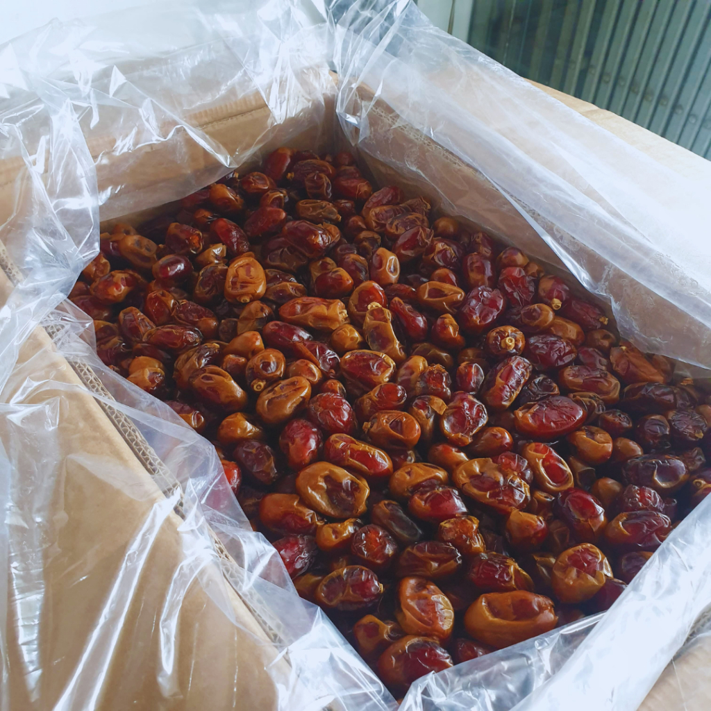 

KURMA KHALAS BARARI 10KG MANIS EMPUK BARANG BARU EXPIRED LAMA