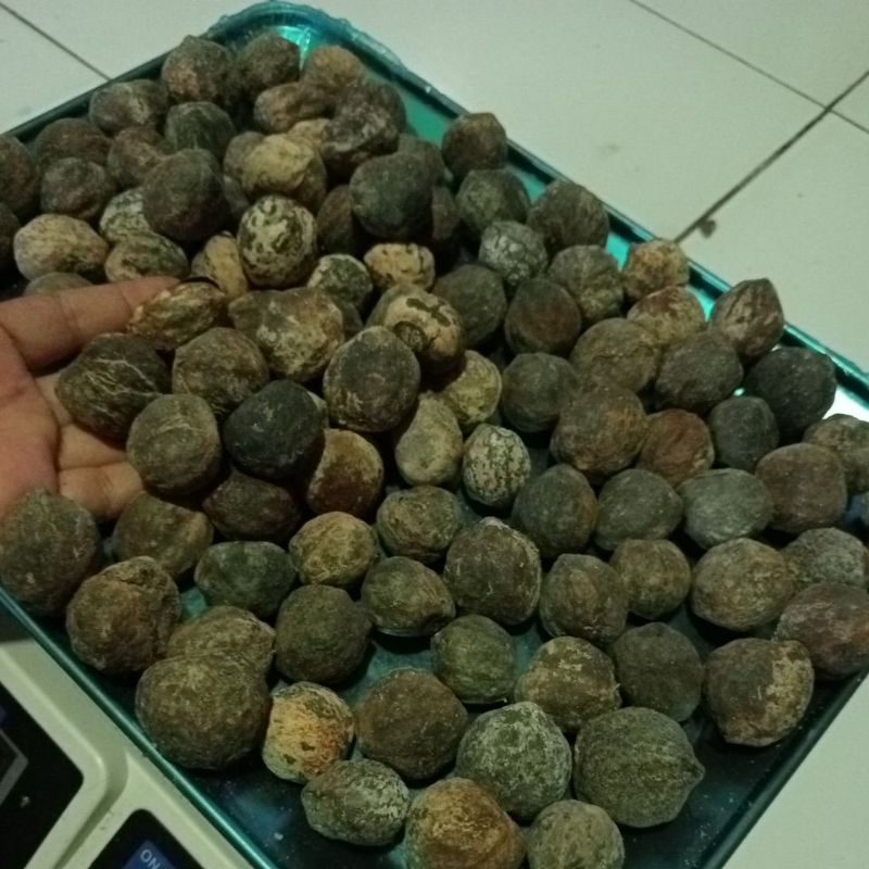 

kemiri batok asli ukuran 500 gram