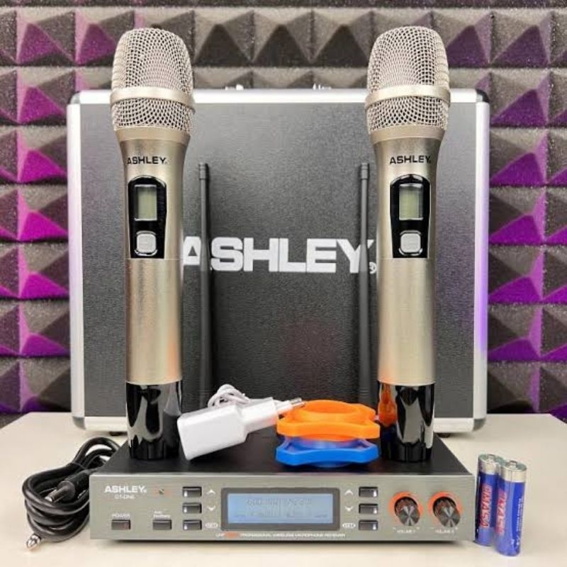 Wireless Microphone ASHLEY CT-ONE [ ANTI FEEDBACK ]