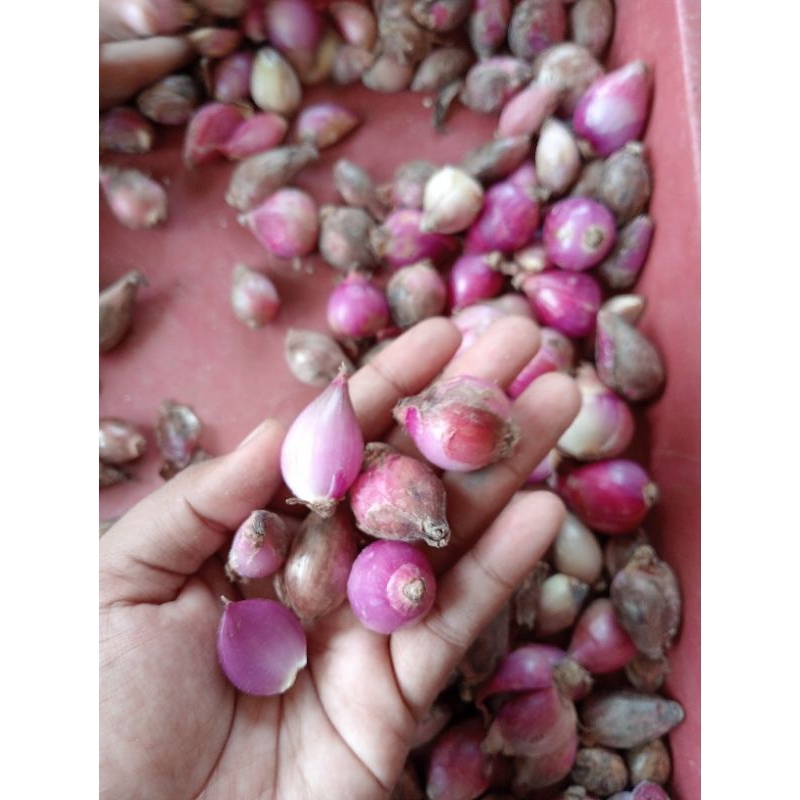 

bawang merah super (terlaris) 1kg