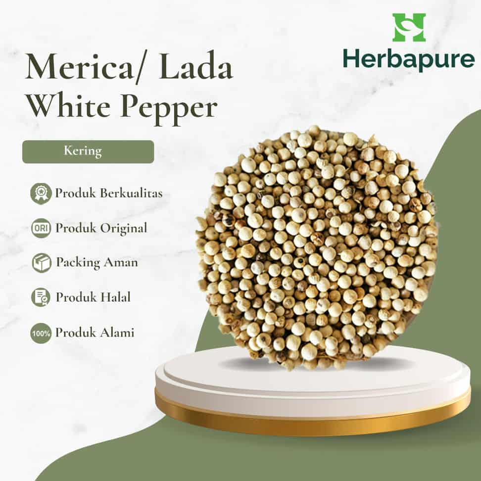 

Herbapure- Merica Putih Bumbu Dapur, Pereda Masuk Angin, Hangatkan Tubuh | Lada Masakan dan Herbal