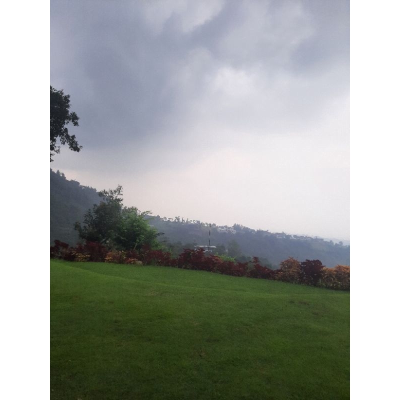 Memori Card 4GB Game Nintendo DS