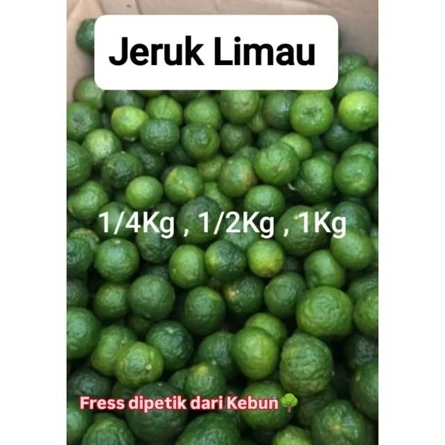 

PROMO PUNCAK 5.5 Jeruk Limau | Jeruk Sambelan Jeruk Baso Aci/Seblak Fress