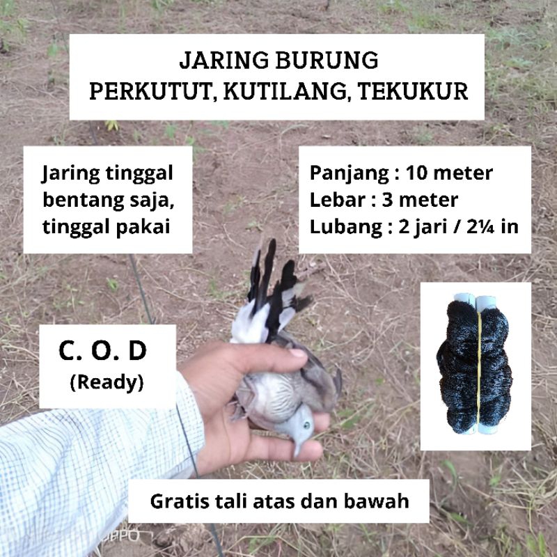 JARING BURUNG PERKUTUT JARING KUTILANG JARING BURUNG SIAP PAKAI JARING MONTANA