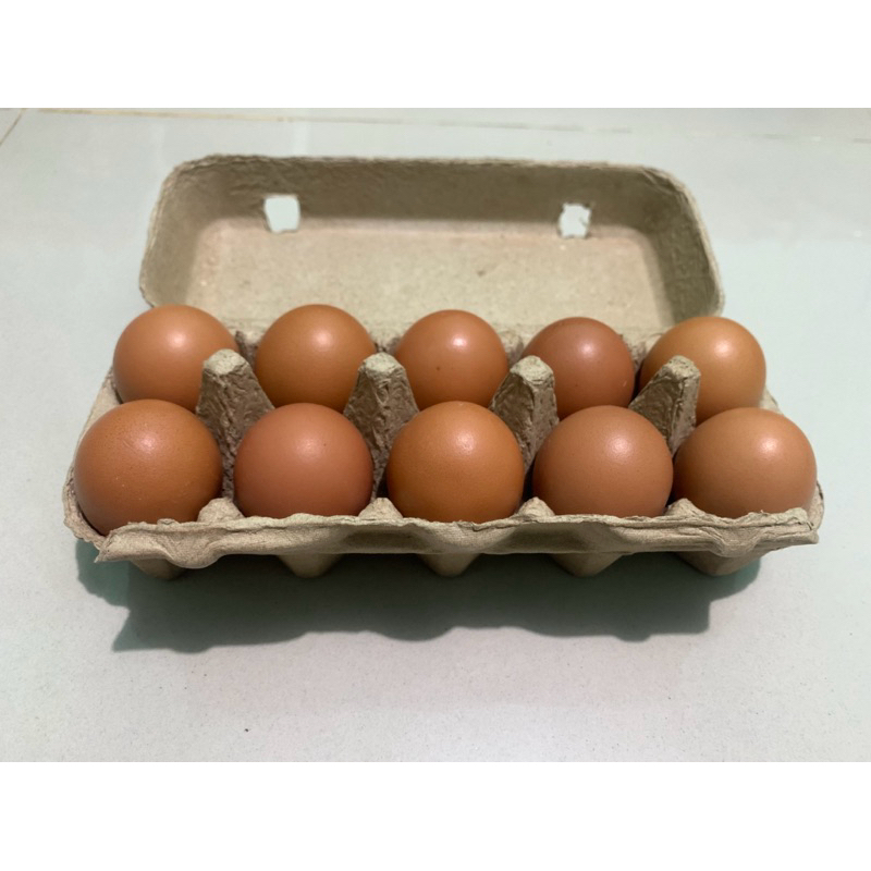 

Telur Ayam Negeri Isi 10 Grade A khusus Box
