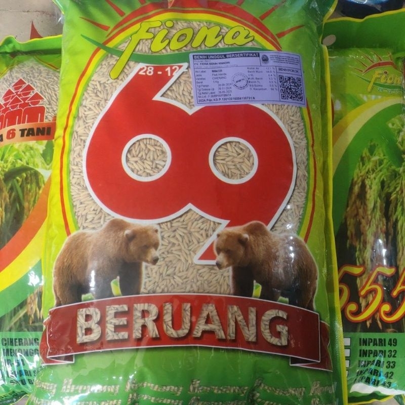 padi Ciherang beruang