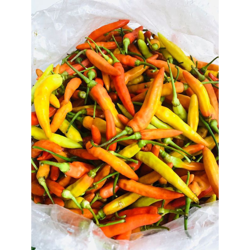 

CABE RAWIT/CABE SETAN 500g
