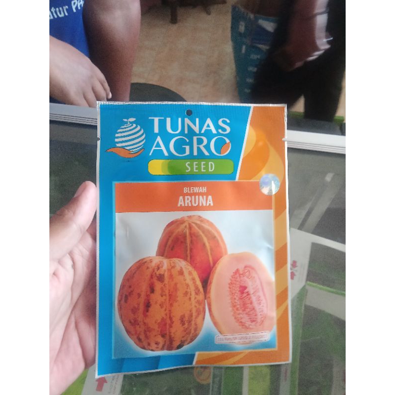 BIBIT BLEWAH TUNAS AGRO.BIBIT BLEWAH KEMASAN TUNAS AGRO