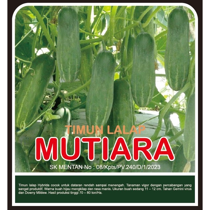 

Timun Lalap MUTIARA F1
