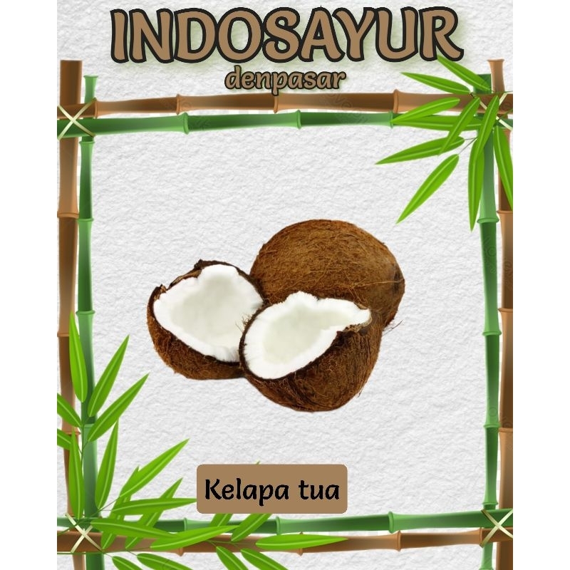 

Kelapa kupas 1 butir_INDOSAYUR