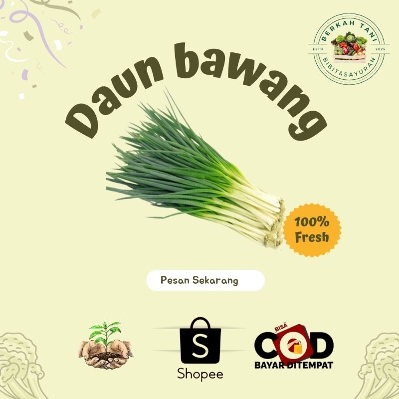 

BERKAH_TANI Daun Bawang/Loncang