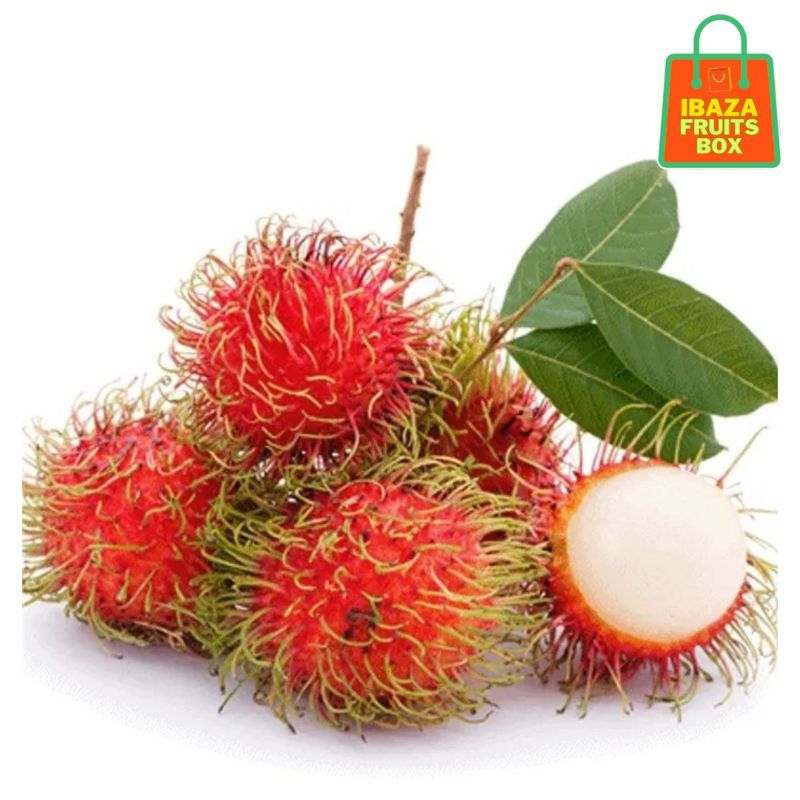 

Rambutan Binjai 1kg Buah Segar Ibaza fruitsBOX