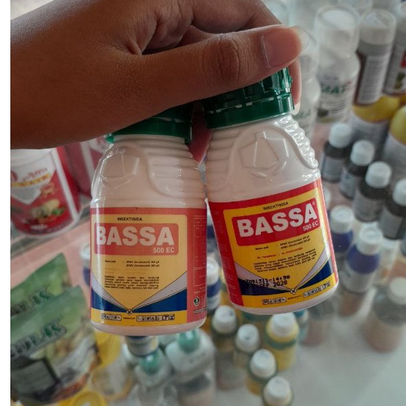 Insektisida BASSA 500 EC - 100ml