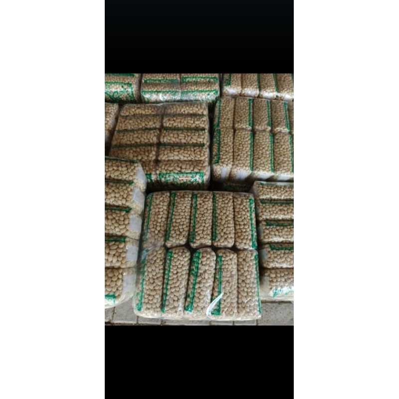 

kacang tuban