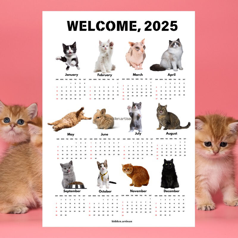 

Calendar 2025 aesthetic/dekorasi kamar/hiasan dinding